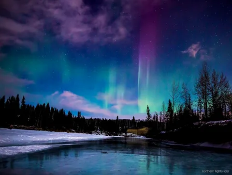 Aurores boréales au-dessus du Chena Hot Springs Resort près de Fairbanks