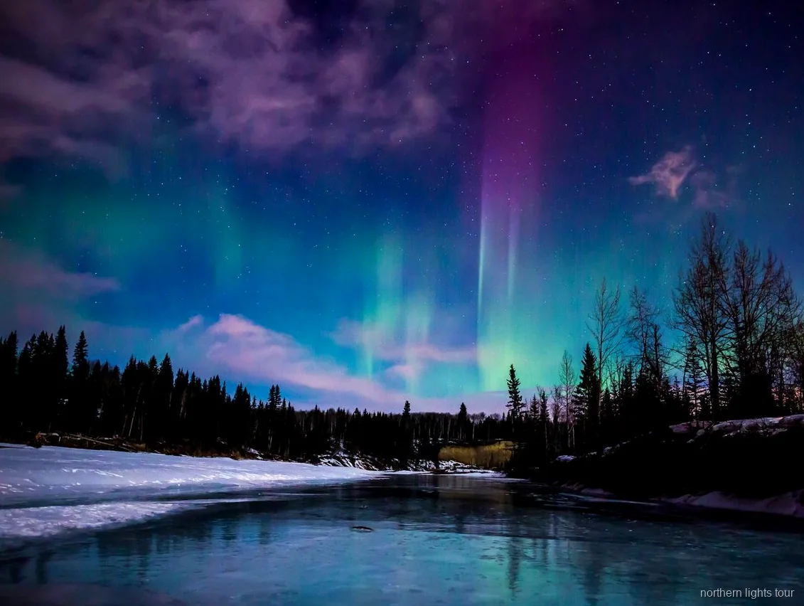 Aurores boréales au-dessus du Chena Hot Springs Resort près de Fairbanks