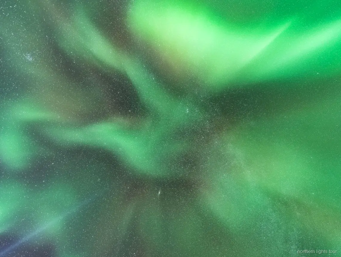 Guía señalando la aurora boreal en la excursión de auroras boreales en Reikiavik