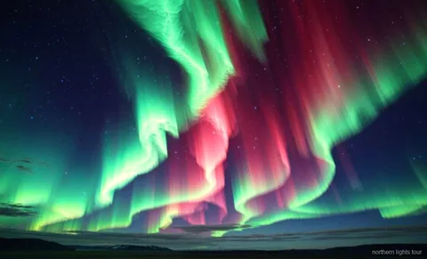 Groupe franchissant le cercle arctique sur l'excursion aurores boréales de Fairbanks