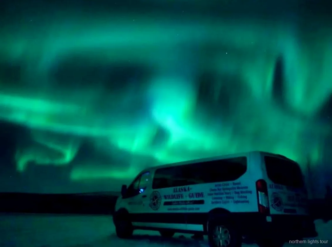 Aurore boréale au-dessus de l'intérieur de l'Alaska sur le trajet retour vers Fairbanks