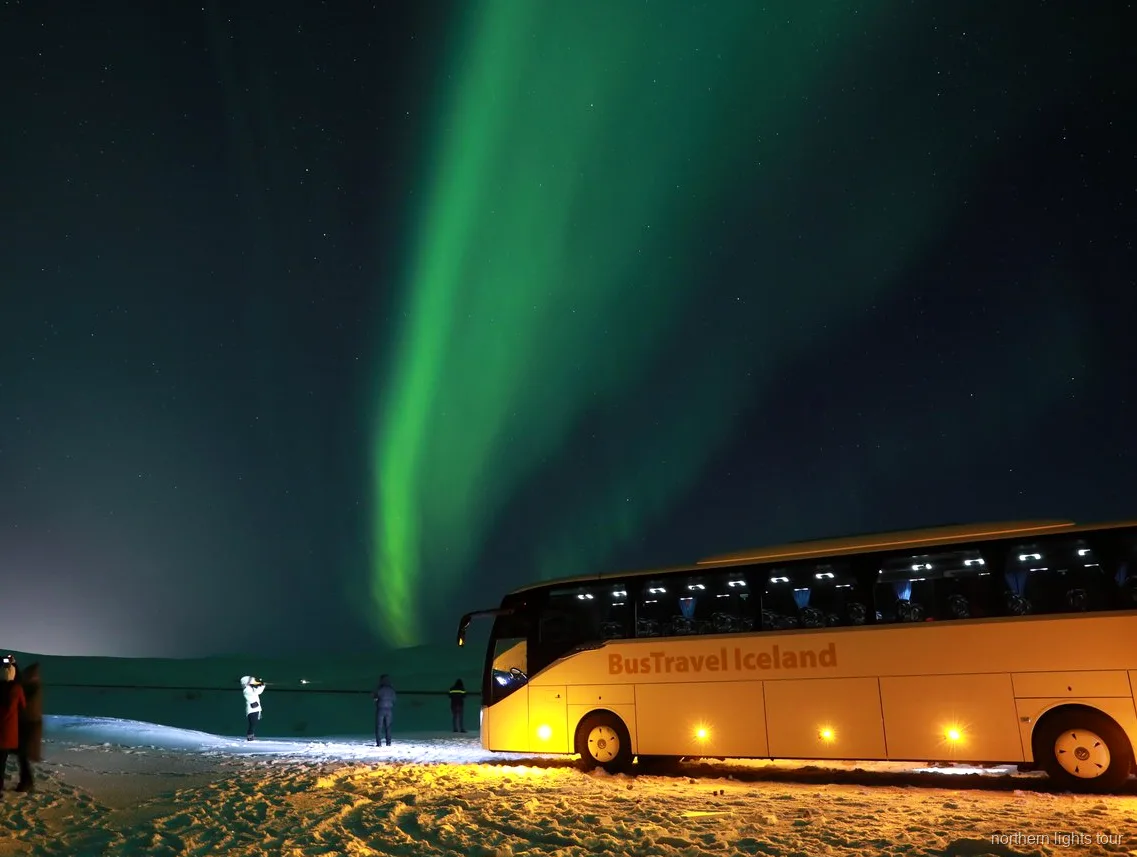 Aurore boréale au-dessus de la campagne islandaise sur l'excursion en bus de Reykjavik