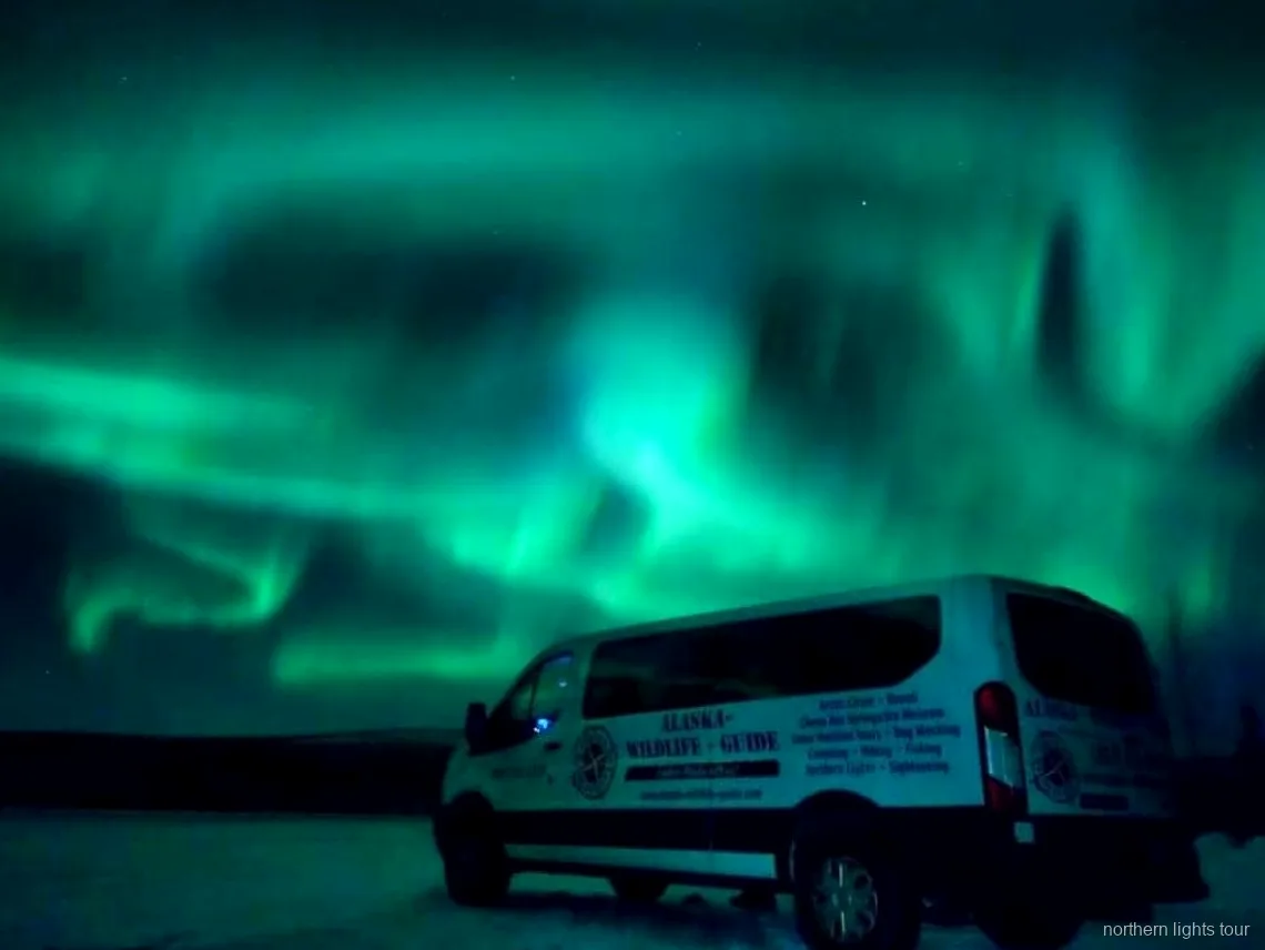 Fairbanks'e dönüş yolunda Alaska iç kesimi üzerinde Aurora Borealis