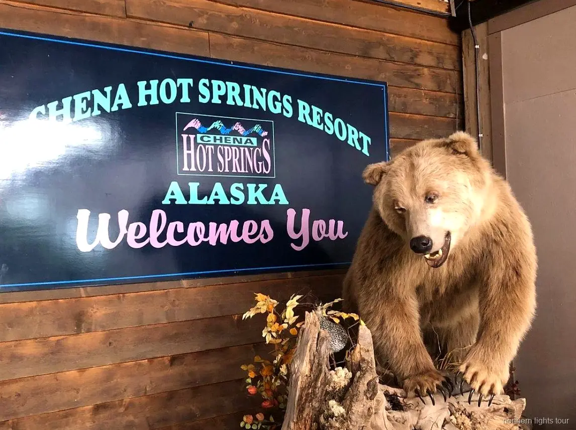 Fairbanks, Alaska yakınlarında Aurora Buz Müzesi buz heykelleri