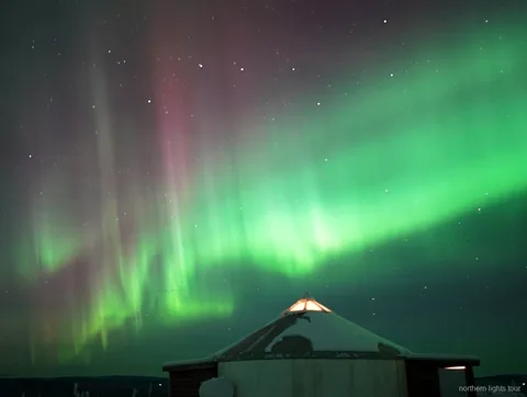 Zorza polarna widziana przez okna lodge na wycieczce w Fairbanks