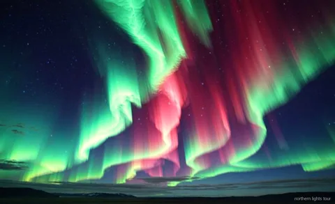 Gruppe überquert den Polarkreis auf der Fairbanks Nordlichter und Polarkreis Tour