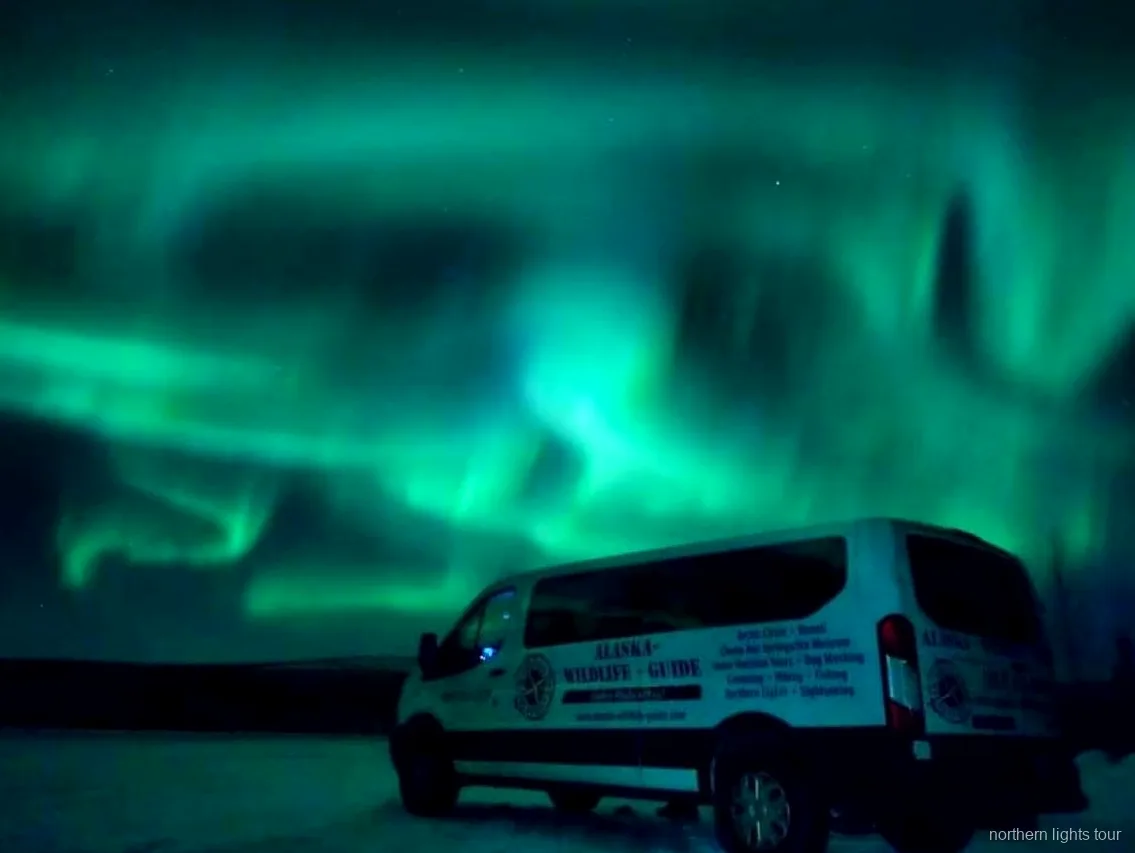 Aurora Borealis über dem Inneren Alaskas auf der Rückfahrt nach Fairbanks