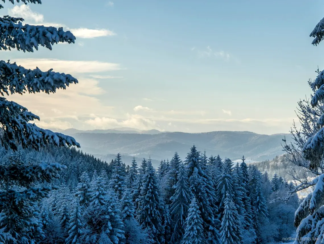 Aussichtspunkt Finger Mountain auf der Fairbanks Nordlichter und Polarkreis Tagestour