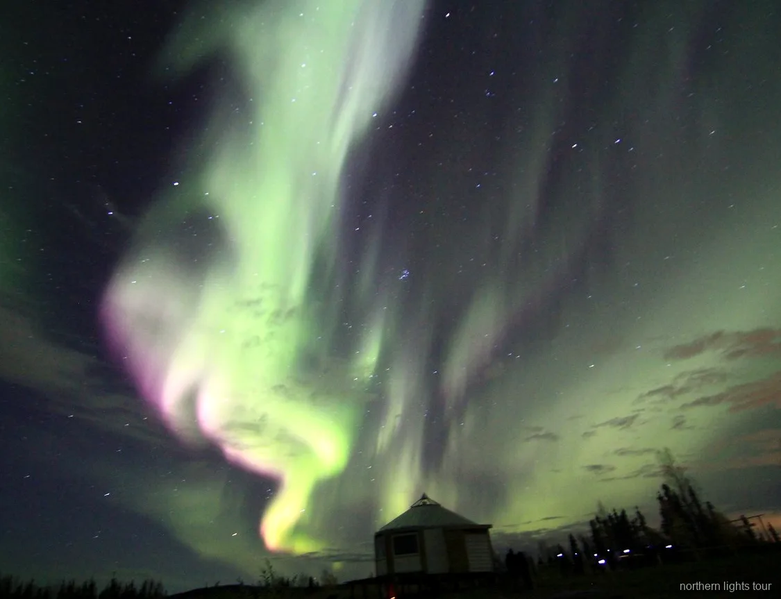 Nordlys danser over Fairbanks-lodgen på en klar Alaska-nat