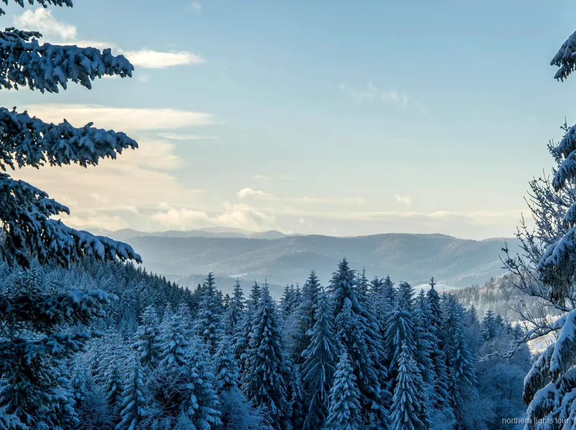 Udsigtspunktet Finger Mountain på Fairbanks nordlys- og polarcirkel-heldagsturen