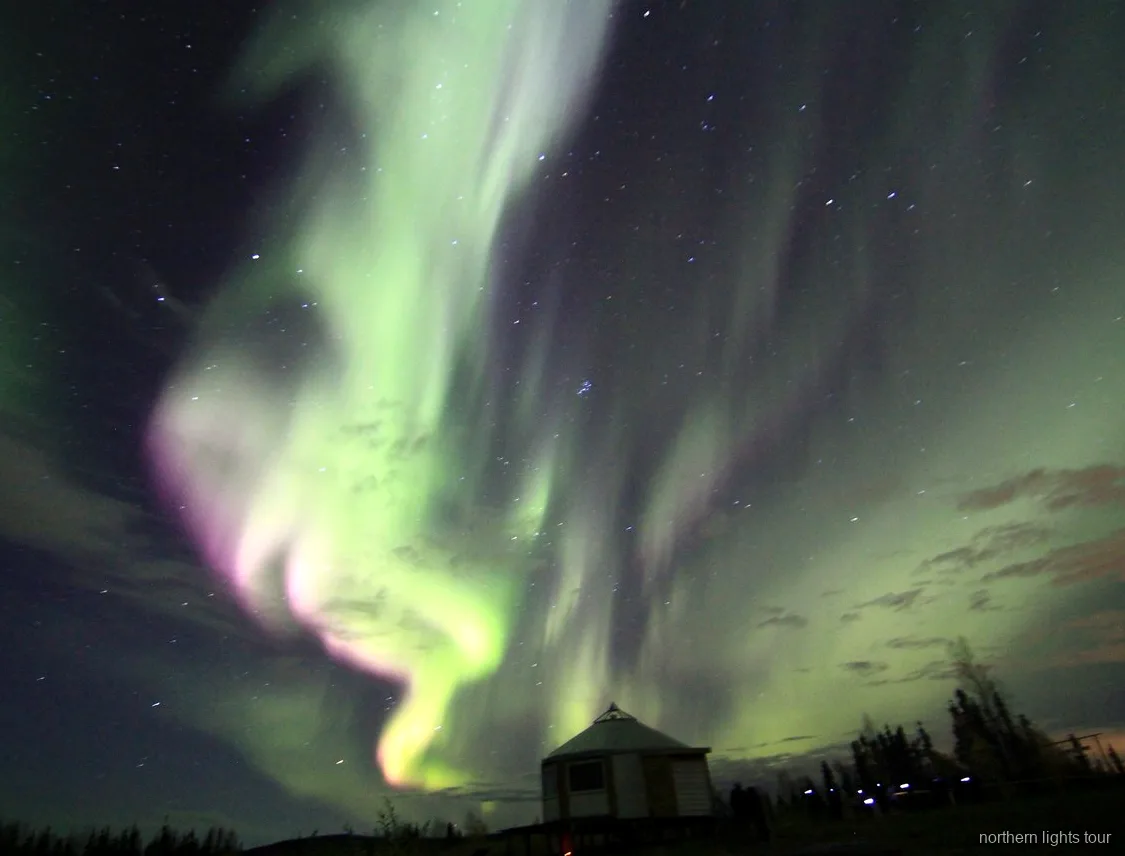 Norrsken dansar över Fairbanks-lodgen en klar Alaska-natt