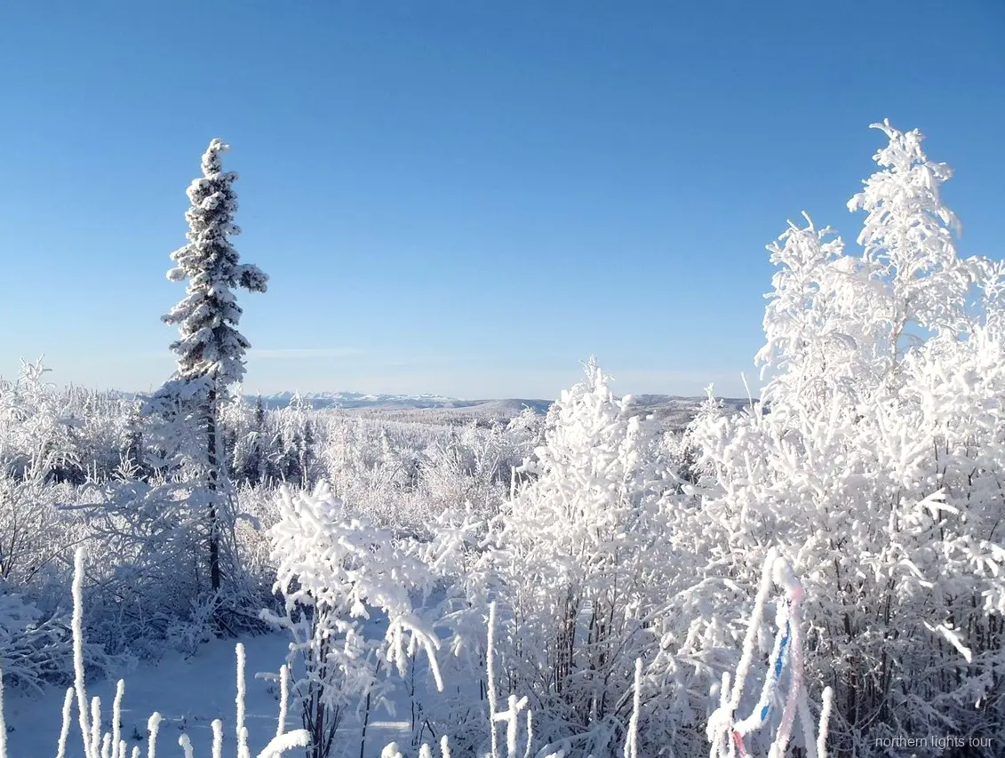 Utsiktsplats vid Trans-Alaska-oljeledningen på Fairbanks norrskentur