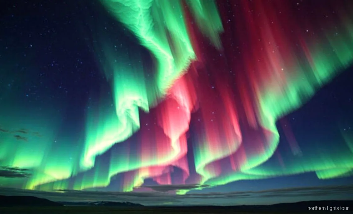 Group crossing the Arctic Circle on the Fairbanks Northern Lights and Arctic Circle tour
