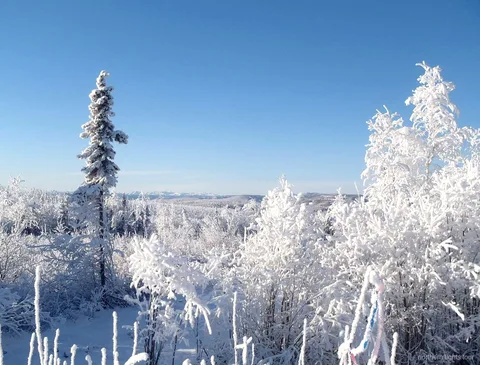Trans-Alaska Pipeline viewpoint on the Fairbanks Northern Lights tour route