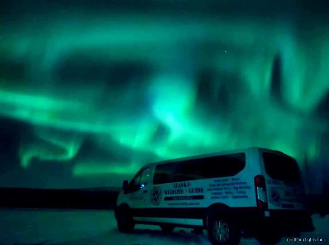 Aurora Borealis over the Alaskan interior on the drive back to Fairbanks