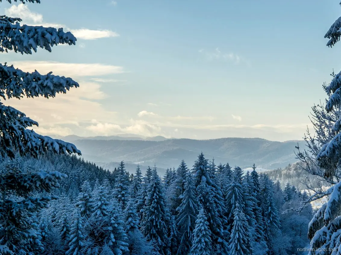 Punkt widokowy Finger Mountain na jednodniowej wycieczce na zorzę polarną i koło podbiegunowe w Fairbanks