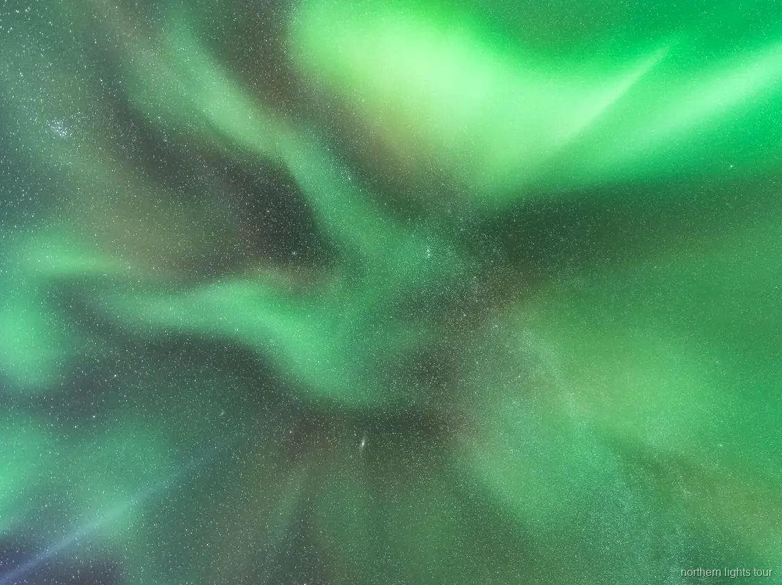 Gids wijst het noorderlicht aan op de Reykjavik noorderlicht bustour