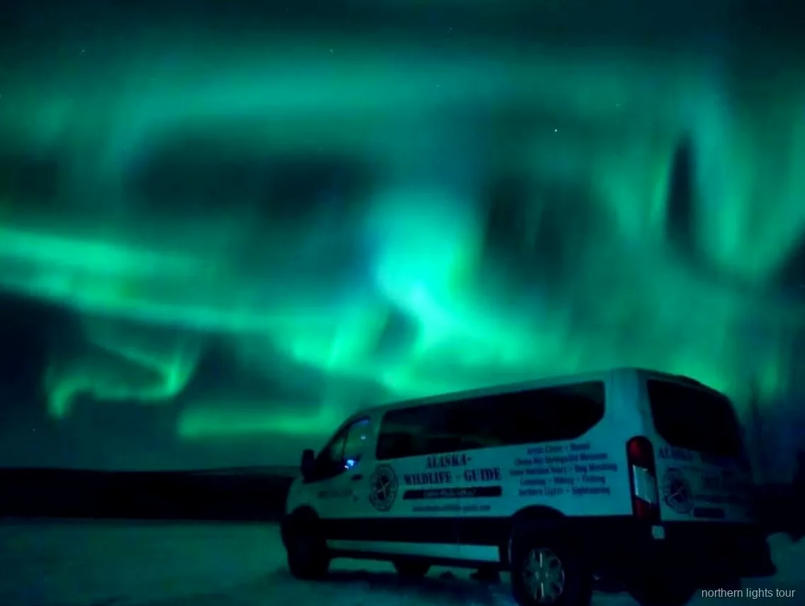 Noorderlicht boven het binnenland van Alaska op de terugrit naar Fairbanks