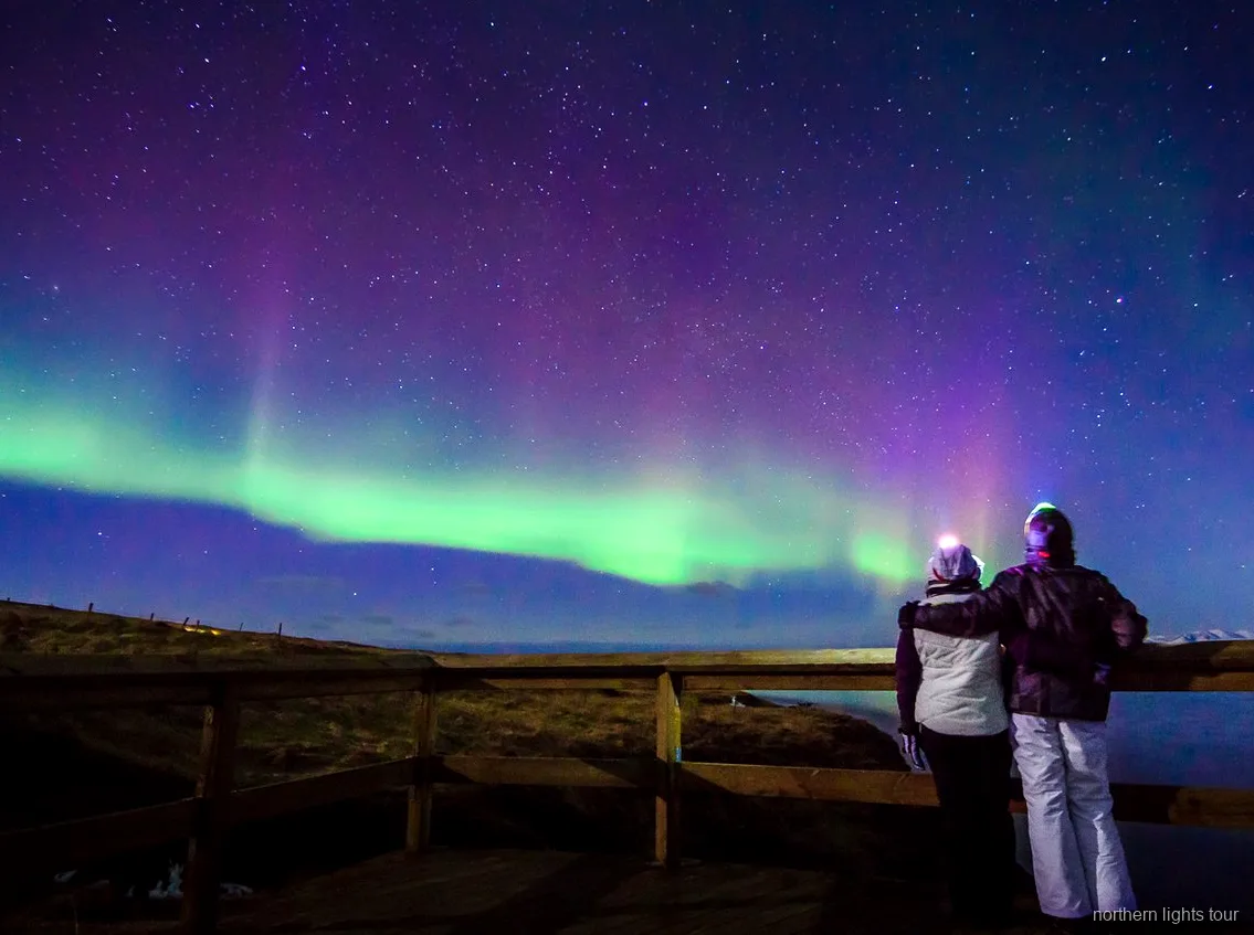 Kleinschalige minibus op de Reykjavik premium noorderlicht tour onder een sterrenhemel
