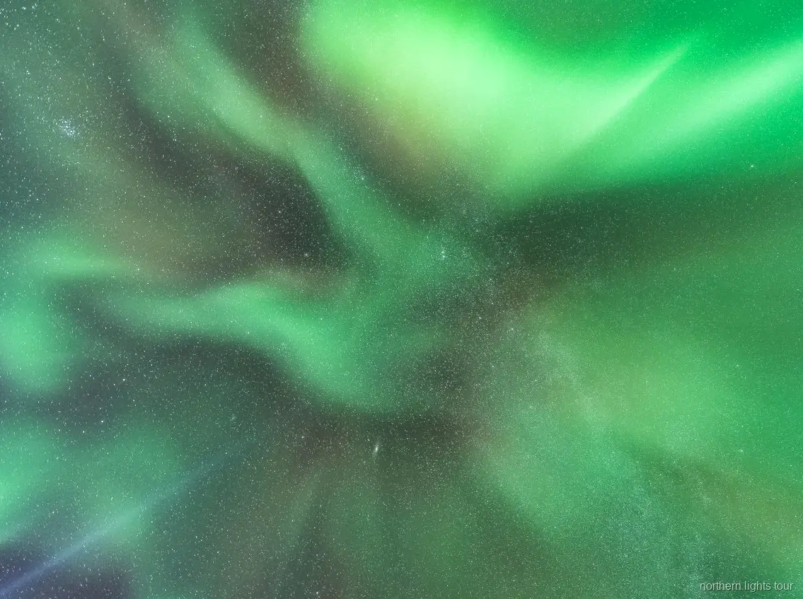 Reykjavik kuzey ışıkları otobüs turunda Aurora Borealis'i işaret eden rehber