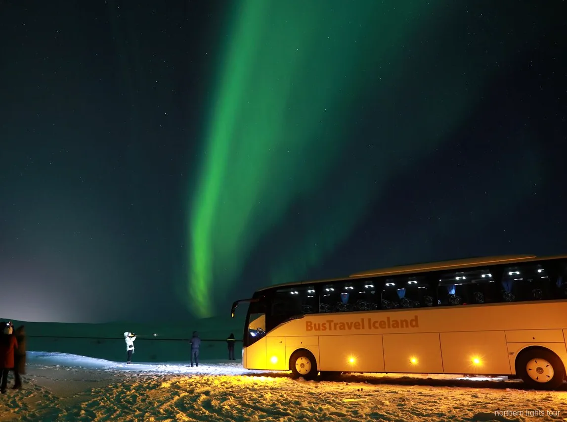 Aurora Borealis over the Icelandic countryside on the Reykjavik Northern Lights bus tour
