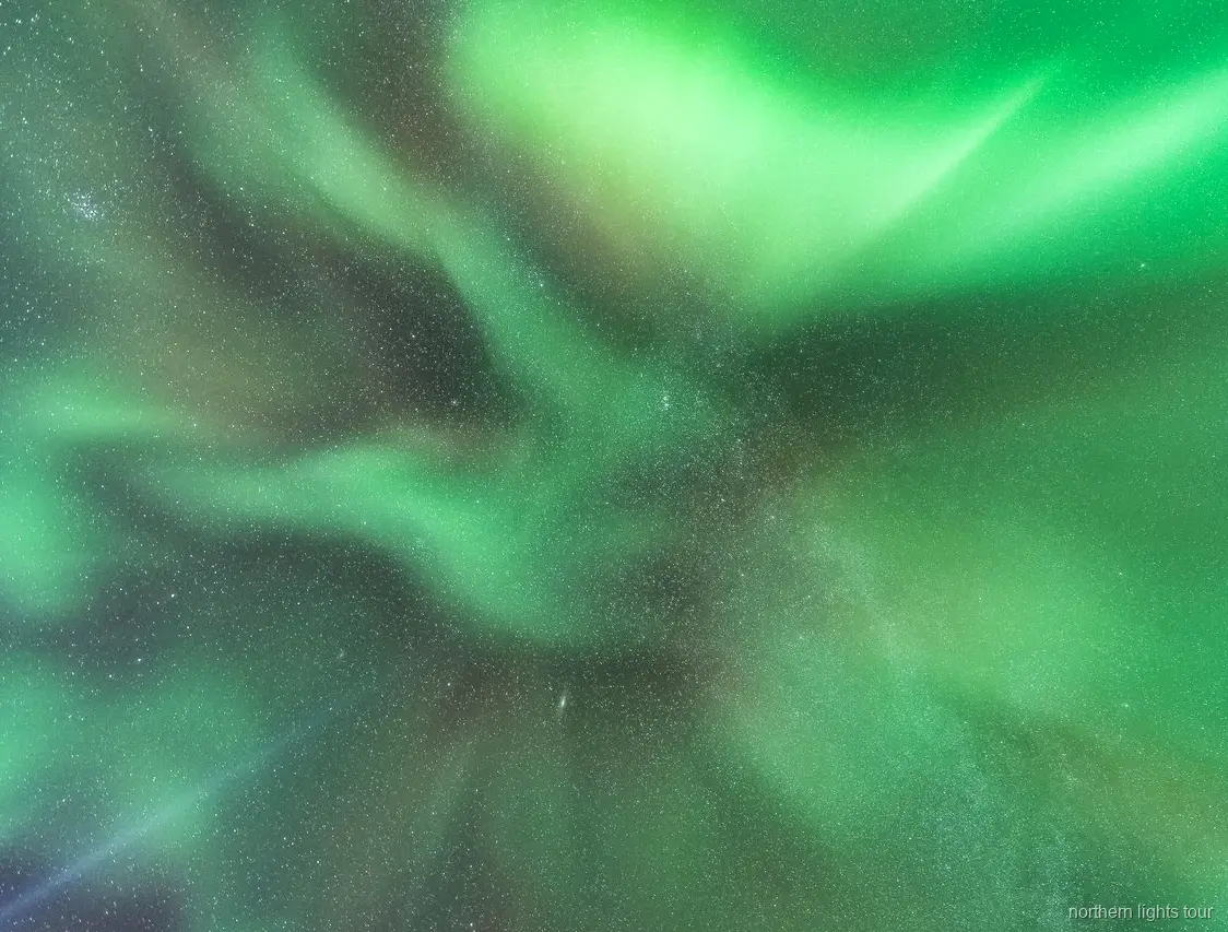Guide pointing out the Aurora Borealis on the Reykjavik Northern Lights bus tour