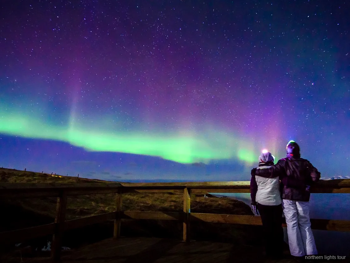 Minibuss för mindre grupp på Reykjavik premium norrskentur under en stjärnklar himmel