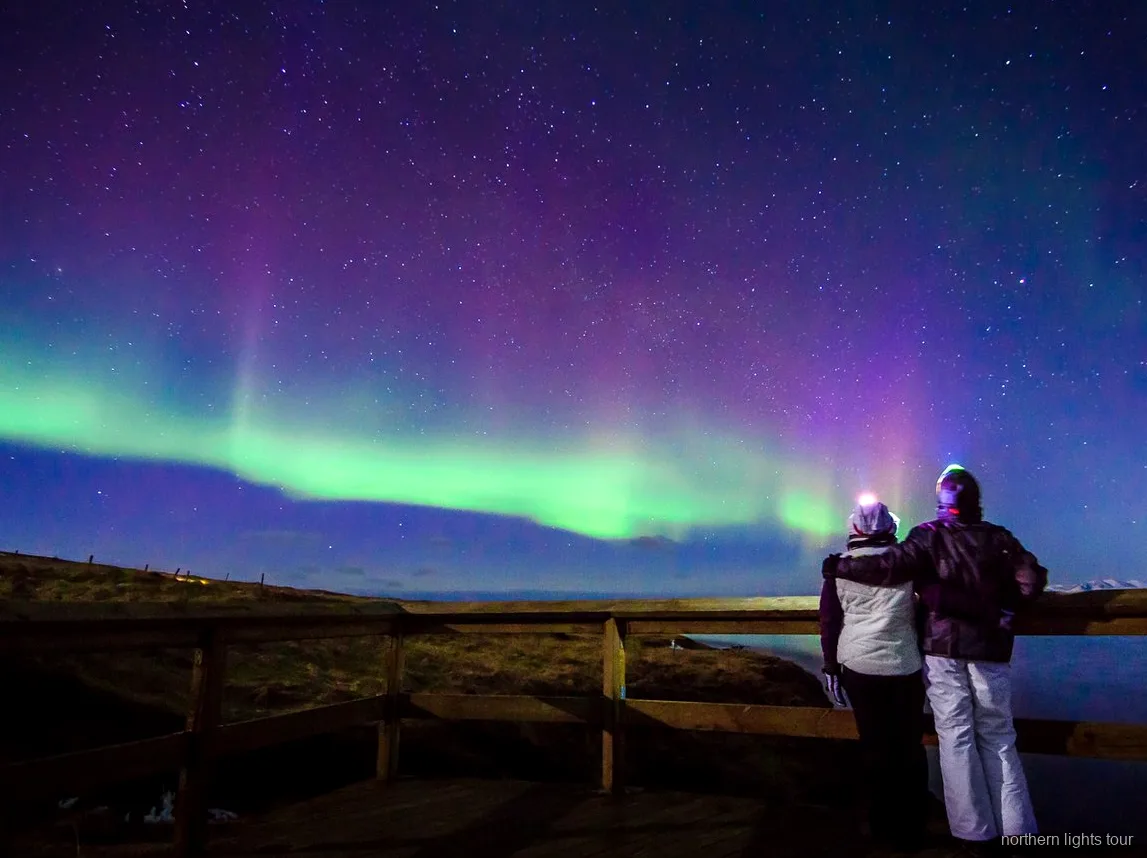 Small-group minibus on the Reykjavik premium Northern Lights tour under a starry sky