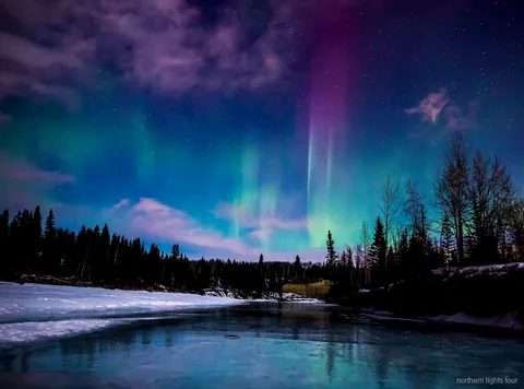 Aurora boreal sobre el complejo Chena Hot Springs cerca de Fairbanks