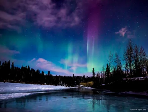 Aurora boreal sobre el Chena Hot Springs Resort prop de Fairbanks