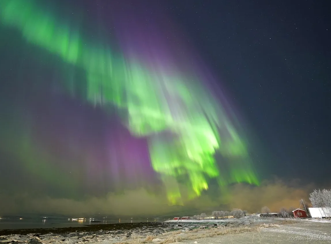 Acampamento com fogueira durante o tour de aurora boreal em Tromsø com fatos térmicos e bebidas quentes