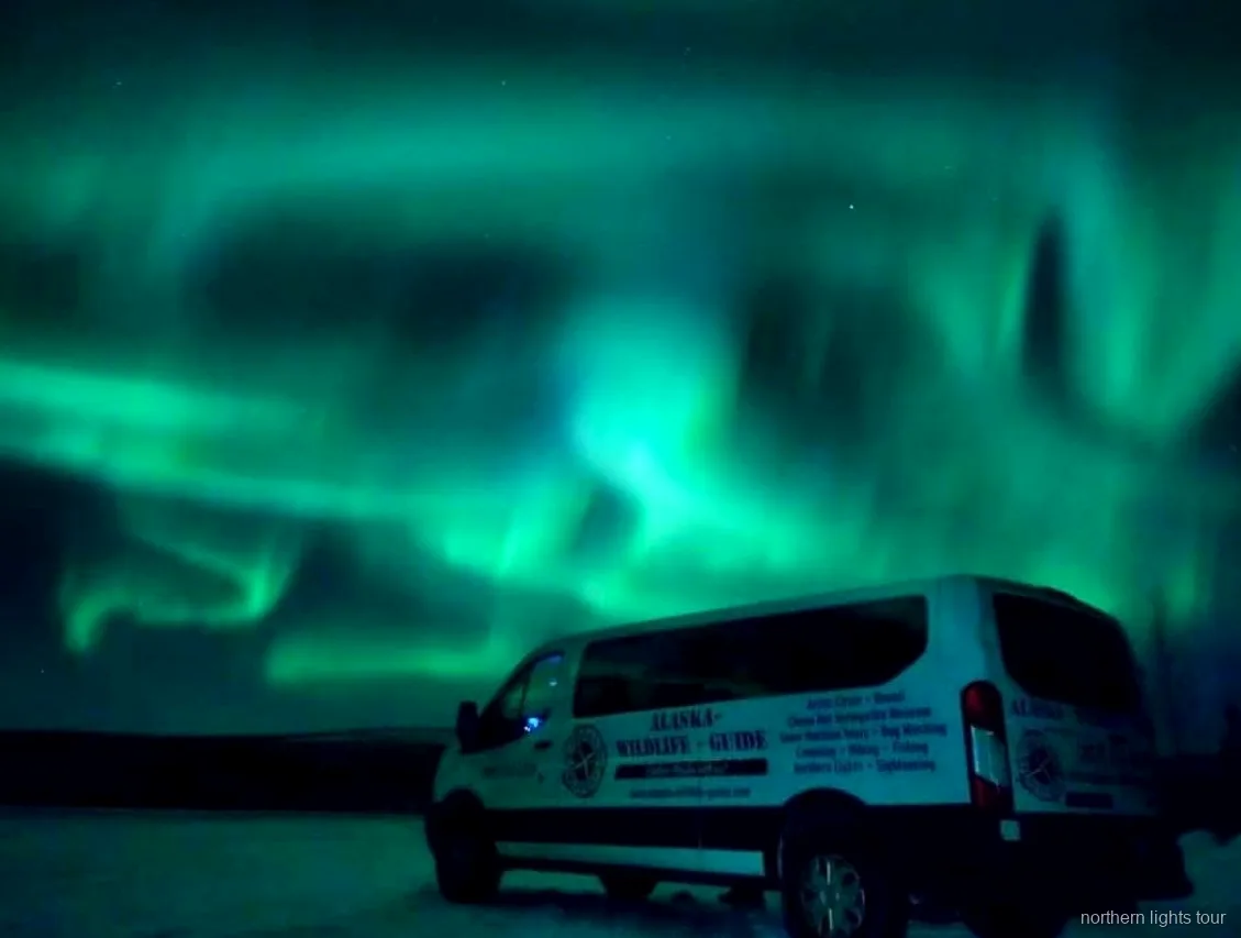 Aurora boreale sull'interno dell'Alaska durante il viaggio di ritorno verso Fairbanks