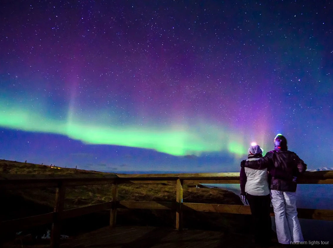 Minibus per piccoli gruppi del tour aurora boreale Reykjavik premium sotto un cielo stellato