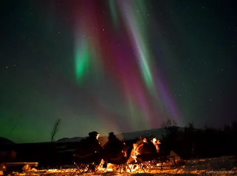 Minibus del tour aurora boreale a Tromsø parcheggiato accanto a un fiordo norvegese di notte