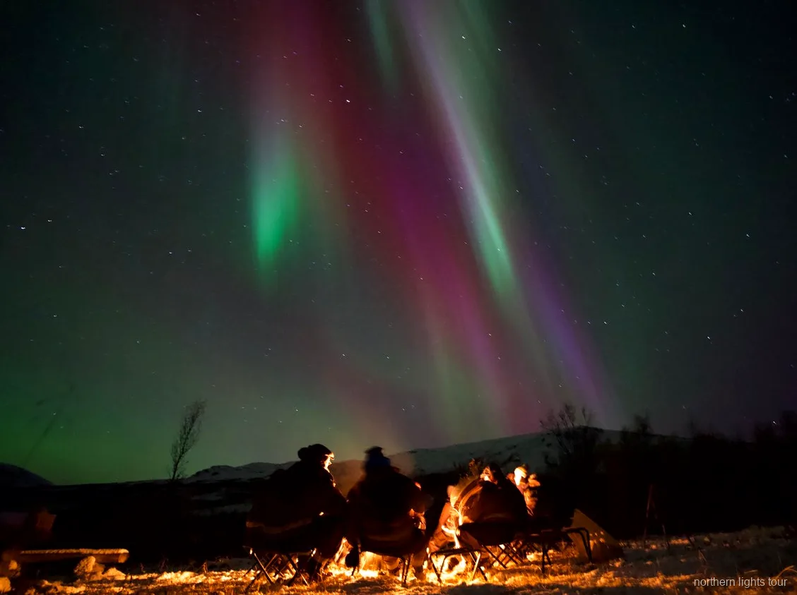 Minibus del tour aurora boreale a Tromsø parcheggiato accanto a un fiordo norvegese di notte