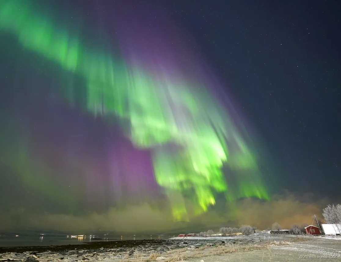 Campo con falò allestito durante il tour aurora boreale a Tromsø, con tute termiche e bevande calde