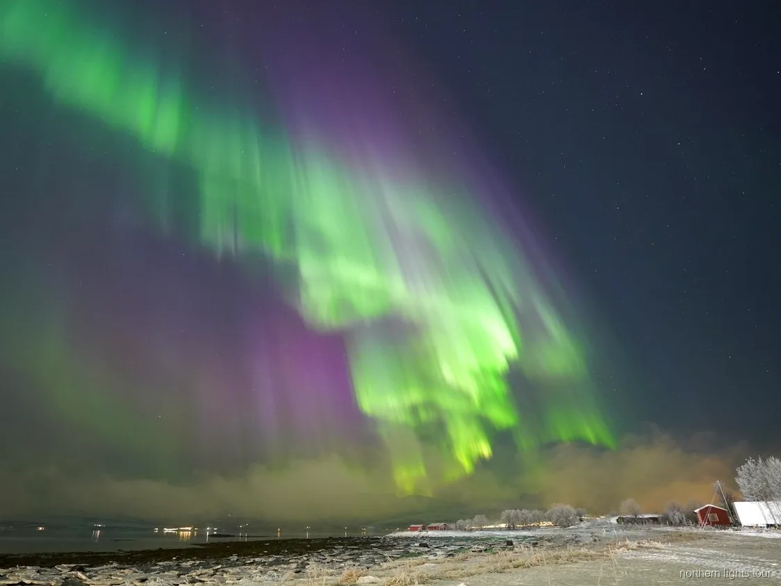 Campamento con hoguera durante el tour de auroras boreales en Tromsø con trajes térmicos y bebidas calientes