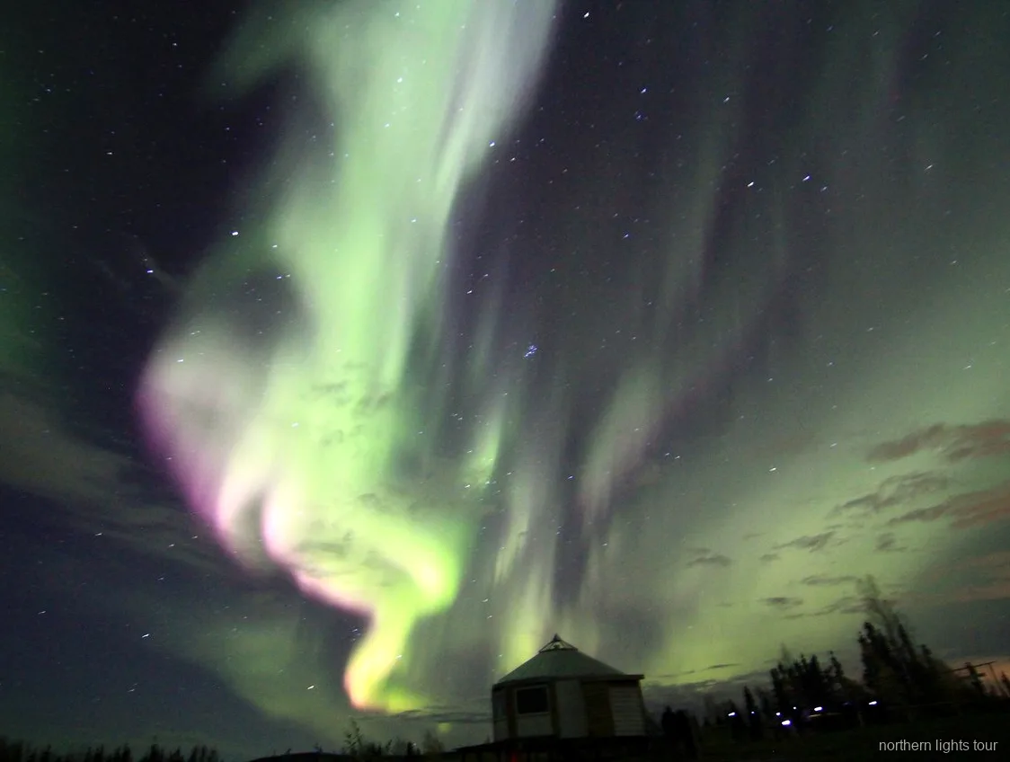 Aurora boreal a dançar sobre o refúgio de Fairbanks numa noite clara no Alasca