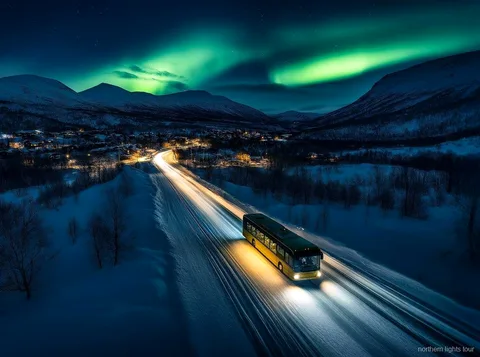 Aurora borealis display captured on the Tromsø Northern Lights safari tour